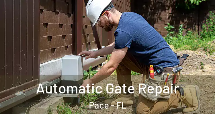  Automatic Gate Repair Pace - FL