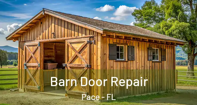  Barn Door Repair Pace - FL