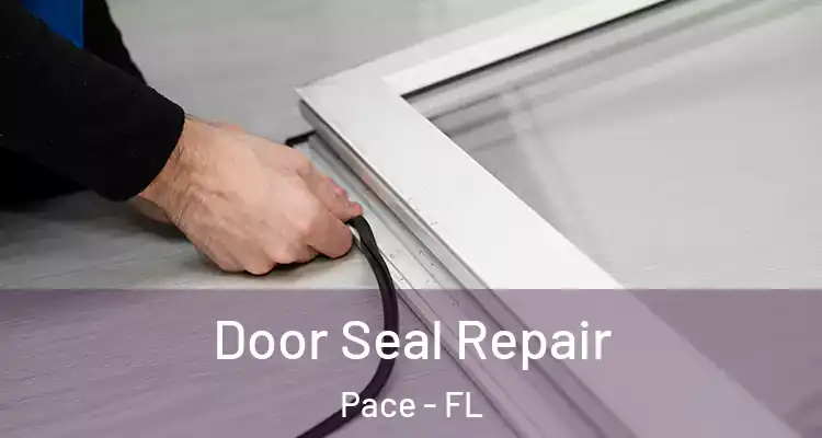  Door Seal Repair Pace - FL