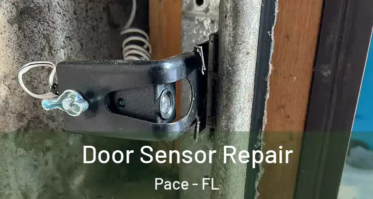  Door Sensor Repair Pace - FL