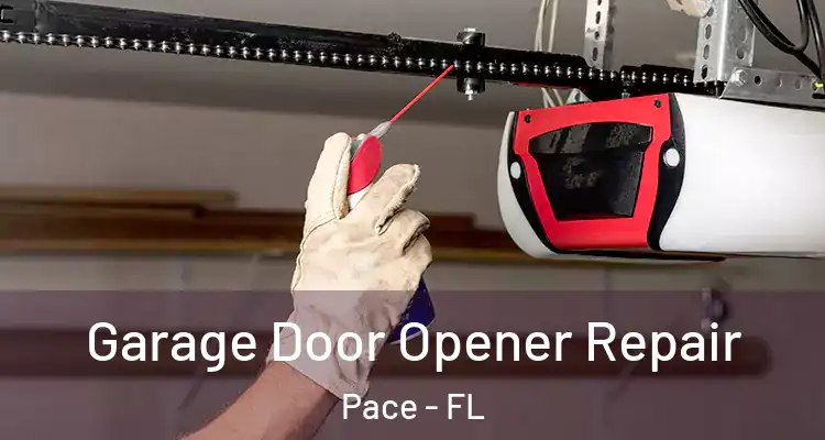  Garage Door Opener Repair Pace - FL