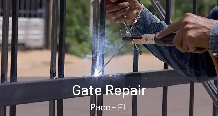 Gate Repair Pace - FL
