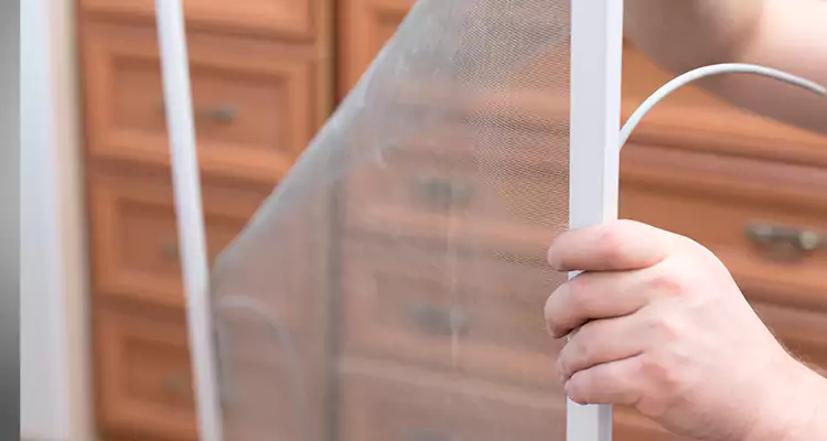 Privacy Mesh Screen Door Installation in Pace, FL