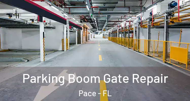  Parking Boom Gate Repair Pace - FL
