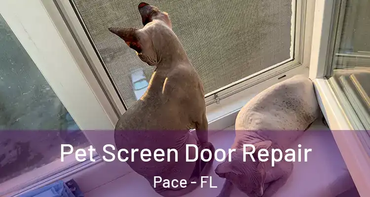  Pet Screen Door Repair Pace - FL